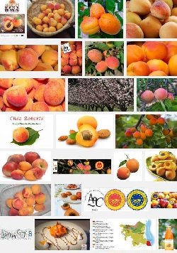 Abricots rouges du Roussillon (aoc)